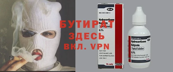 индика Вяземский