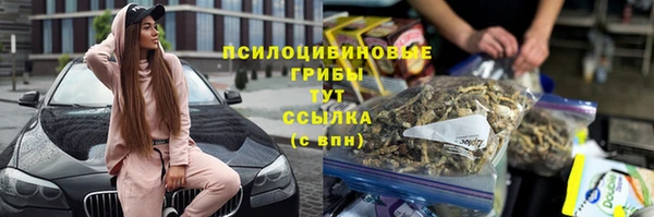 стафф Горно-Алтайск