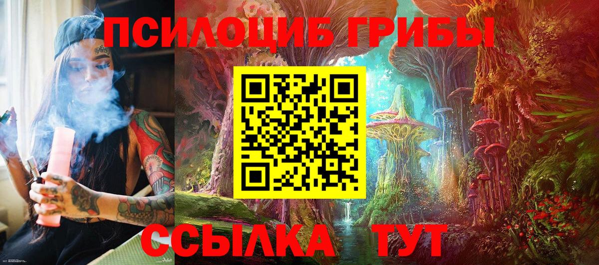 Можайск  Псилоцибиновые грибы GOLDEN TEACHER  Вход с VPN  Галлюциногенные грибы Psilocybe 
