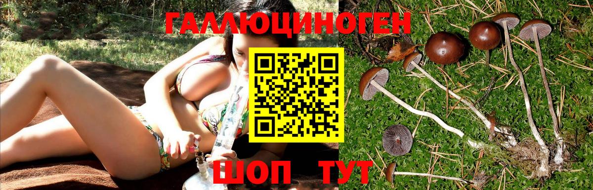 Галлюциногенные грибы GOLDEN TEACHER Можайск