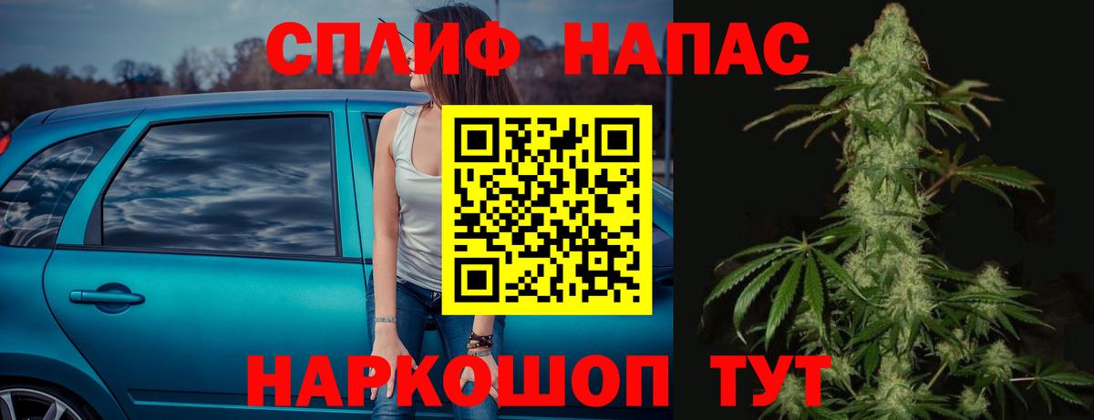 Конопля сатива Можайск